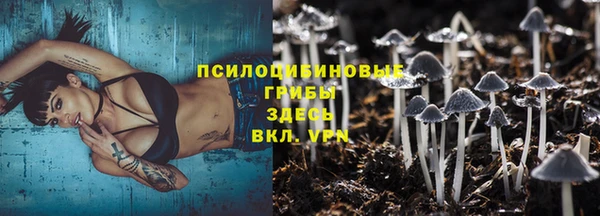 mdpv Новозыбков